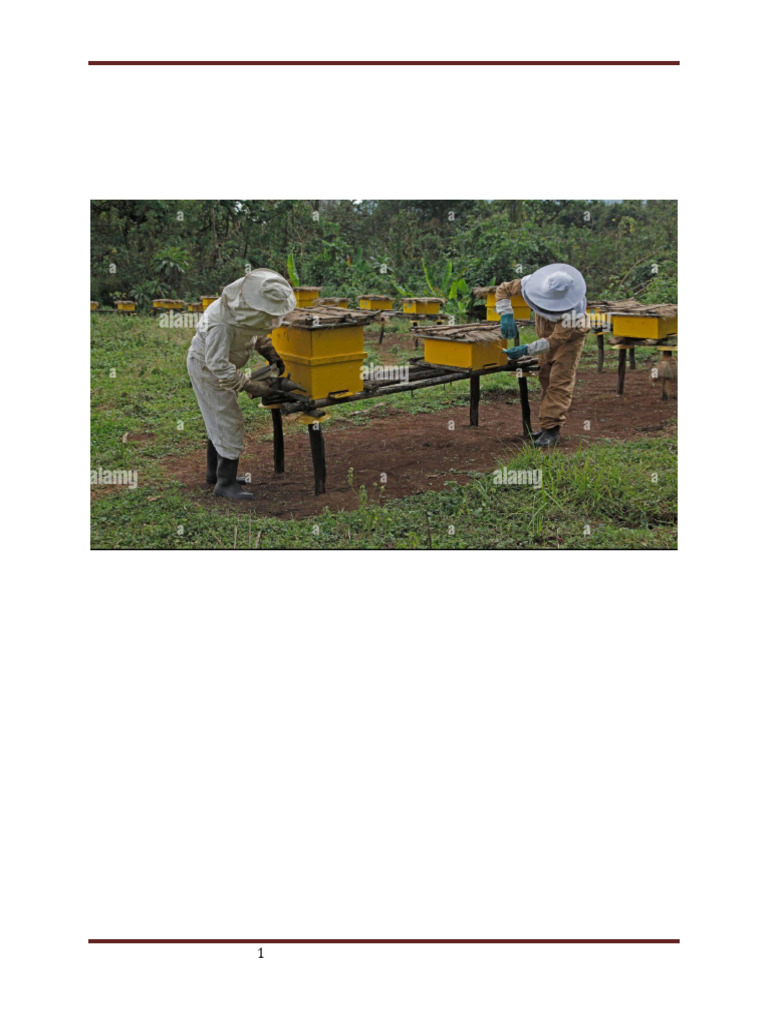 beekeeping-business-plan-1-1730472553635-pdf-beehive-beekeeping