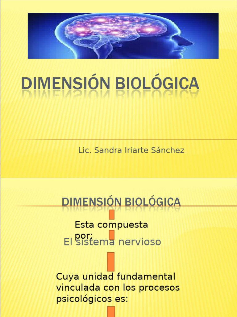 Dimensión Biológica | PDF