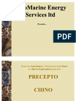 PetroMarine Energy Services LTD Precepto - Chino-4991