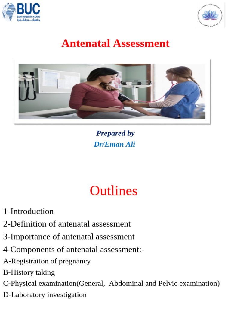 Antenatal Assessment2025 | PDF | Pregnancy | Prenatal Development