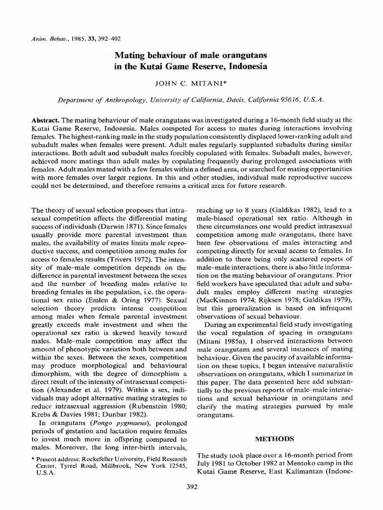 PDF SOCIAL BEHAVIOR OF CAPTIVE GROUP LIVING ORANGUTANS visual data 4
