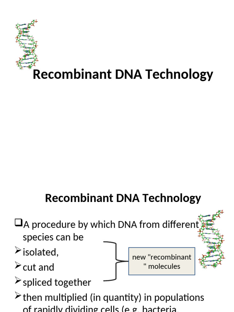 Recombinant DNA Technology | PDF | Molecular Cloning | Restriction Enzyme
