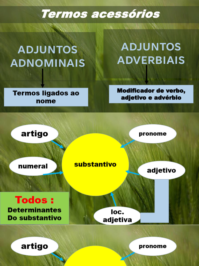Adjuntos Adnominais e Adverbiais | PDF | Pronome | Substantivo