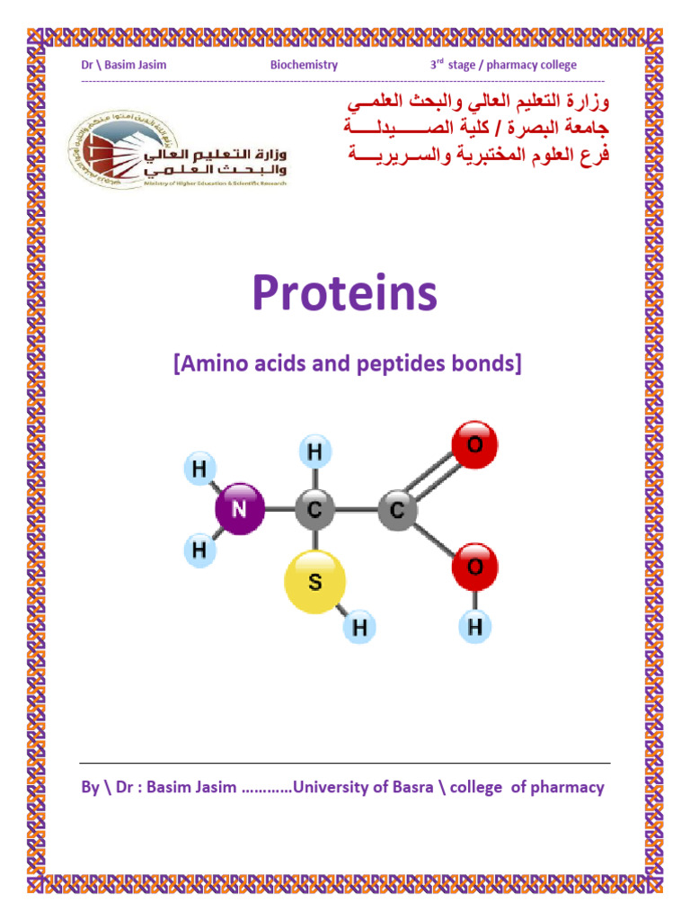Proteins | PDF | Beta Sheet | Amino Acid