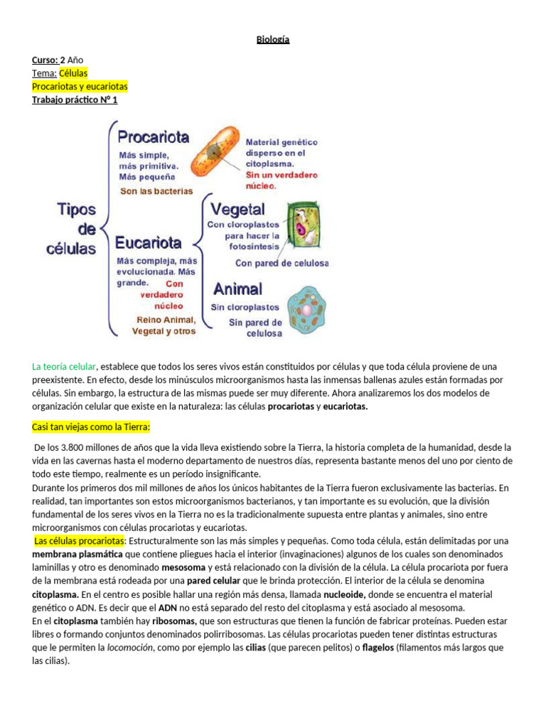 Comparativa de Células Procariotas y Eucariotas | PDF | Biología ...