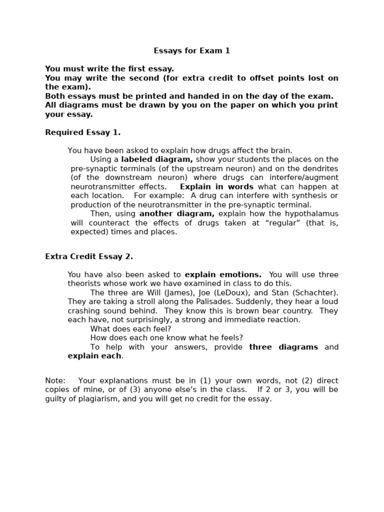 Essays For Exam 1 | PDF