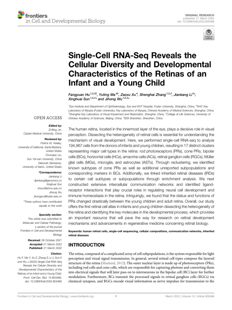 Single-Cell RNA-Seq of Infant Retina | PDF | Retina | Human Eye