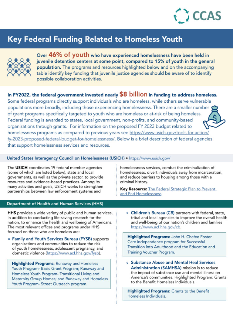 CCAS Key Federal Funding Related To Homeless Youth 508 | PDF ...