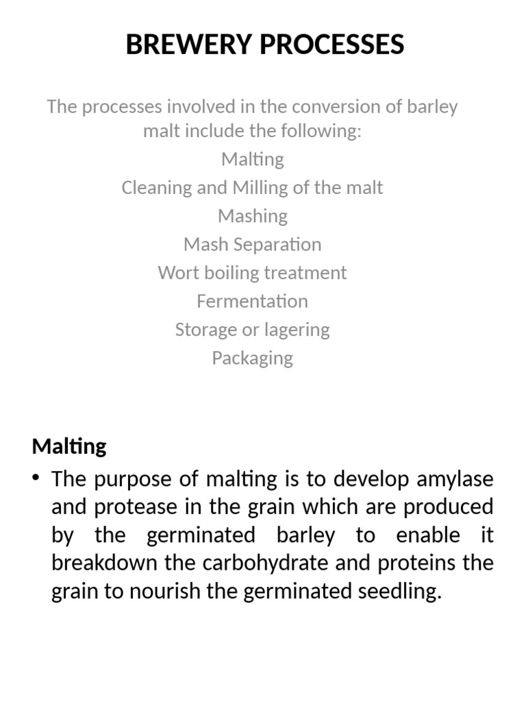 Essential Brewery Processes Explained | PDF | Brewing | Malt