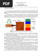 Manejo da Irrigação