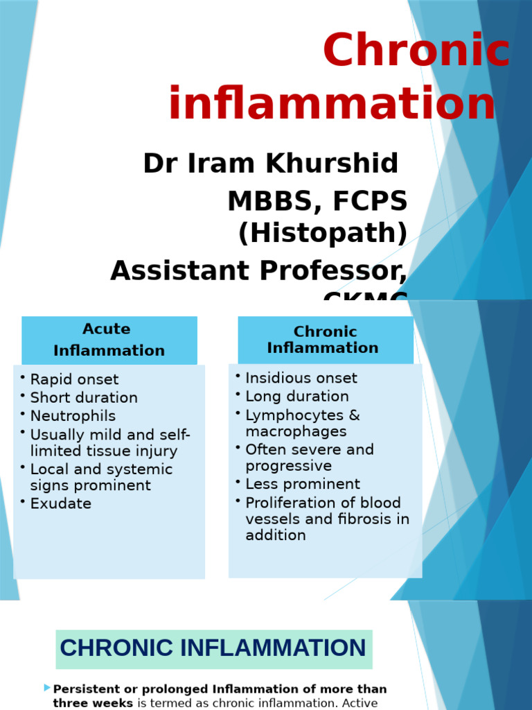 Chronic Inflammation | PDF | Inflammation | Macrophage