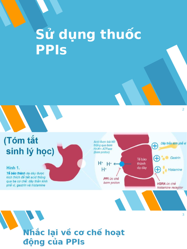 Ppis | PDF