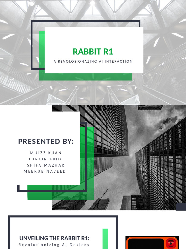 Rabbit R1 User Guide Overview | PDF
