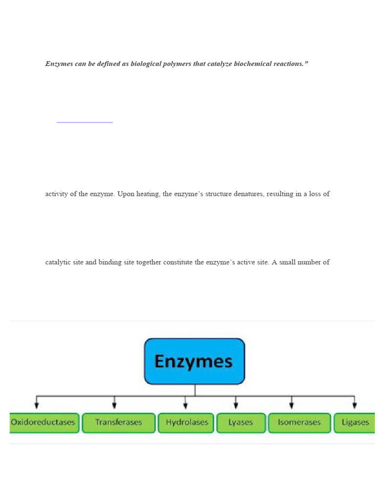 Enzymes A Pdf Enzyme Cofactor Biochemistry