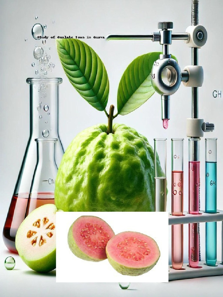 Oxalate Ion Analysis in Guava Fruit | PDF | Titration | Chemistry