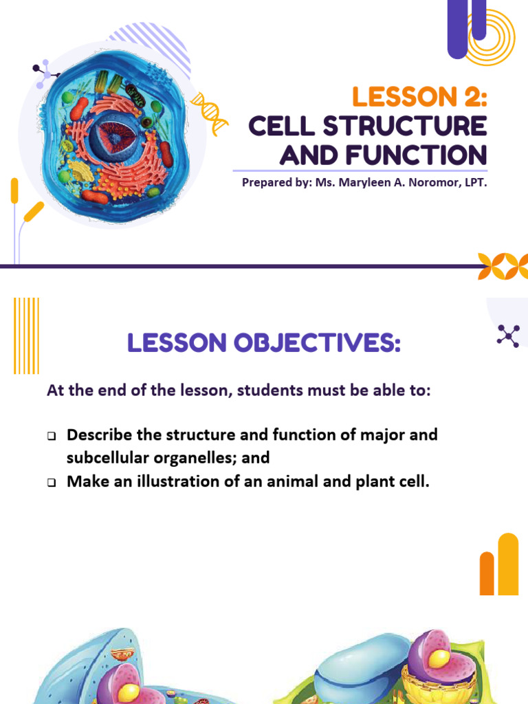 Cell Structure and Function Guide | PDF | Cell (Biology) | Endoplasmic ...