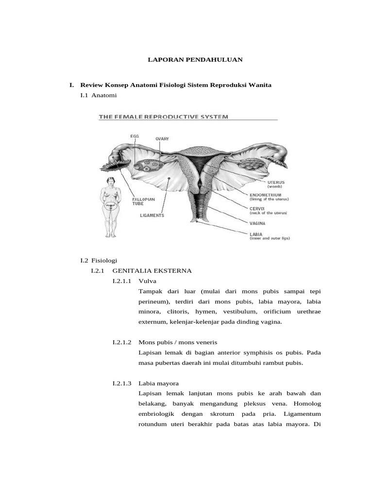 Anatomi dan Fisiologi Reproduksi Wanita | PDF | Sains & Matematika