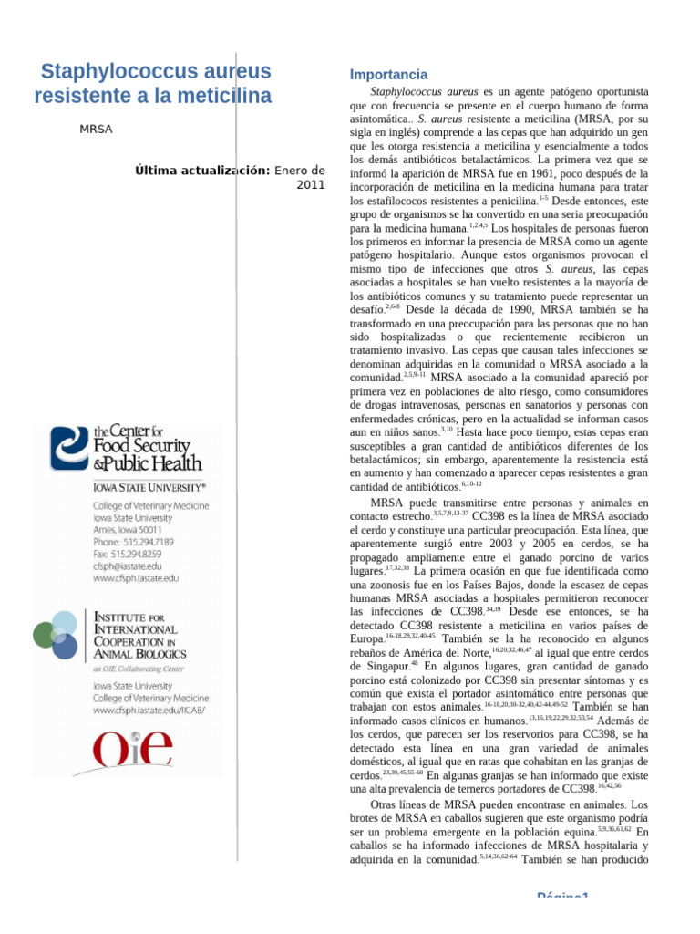 Mrsa Es | PDF | Staphylococcus Aureus | Staphylococcus aureus ...