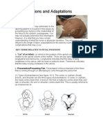 Fetal Positions and Adaptations