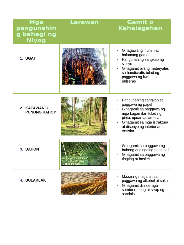 Mga Pangunahin G Bahagi NG Niyog Larawan Gamit o Kahalagahan | PDF
