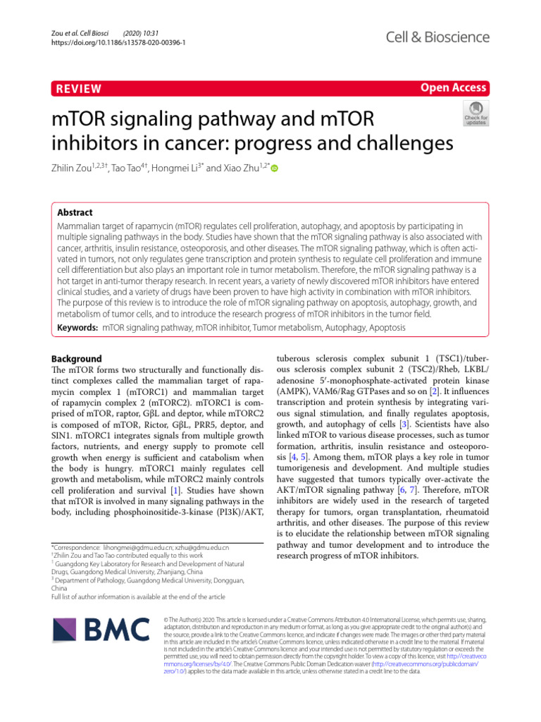 mTOR Signaling Pathway and mTOR Inhibitors in Cancer: Progress and ...