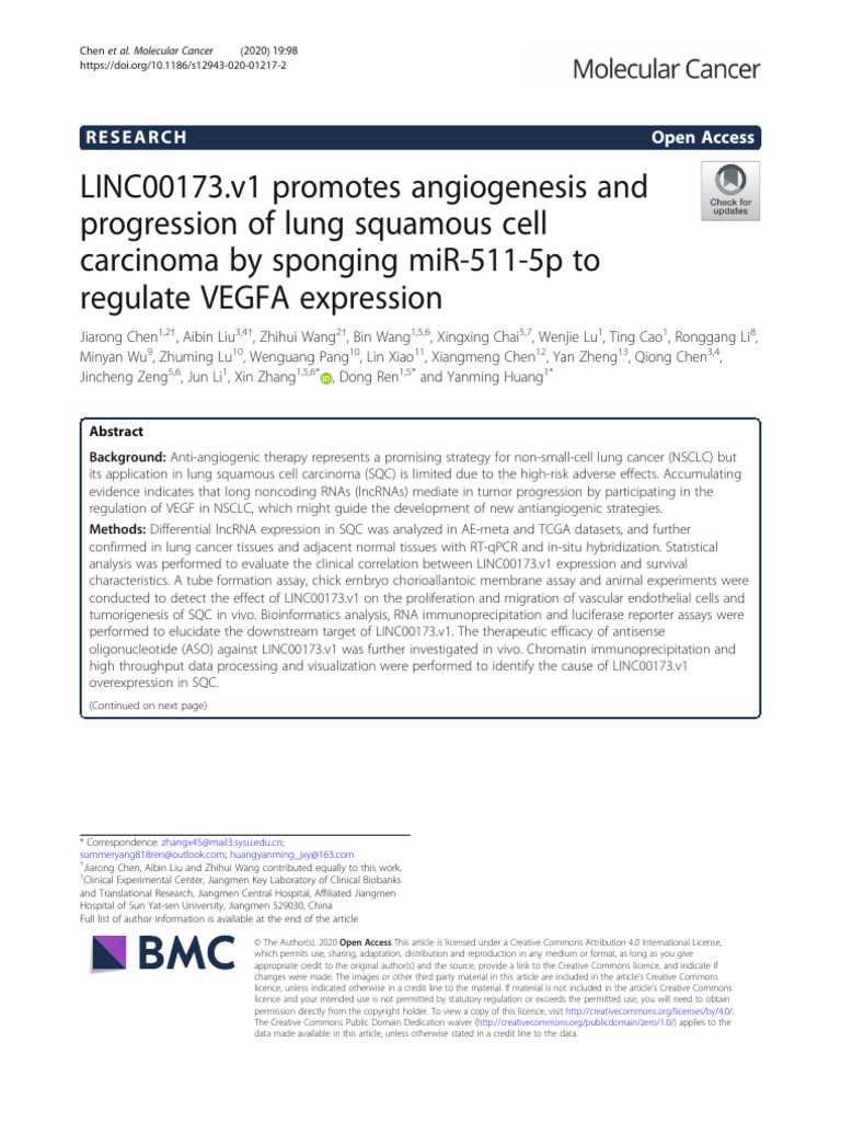 LINC00173.v1 Promotes Angiogenesis and Progression of Lung Squamous ...