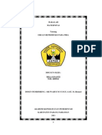 Anatomi Dan Fisiologi Sistem Reproduksi Pria