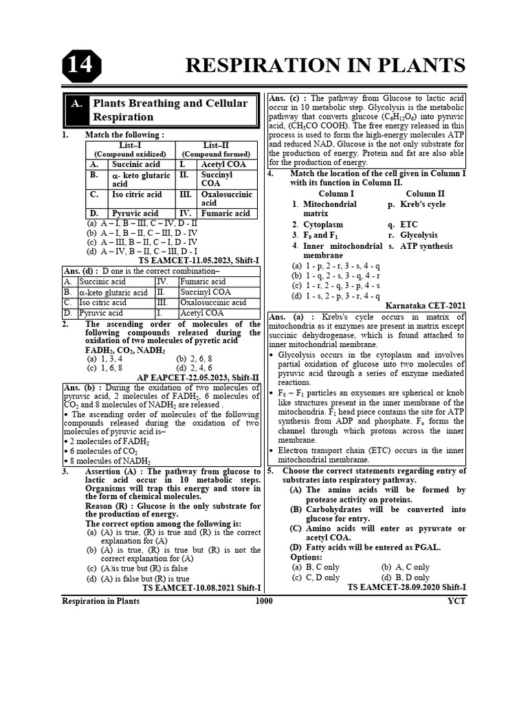 YCT Respiration in Plants NEET Questions Practice | PDF | Cellular ...