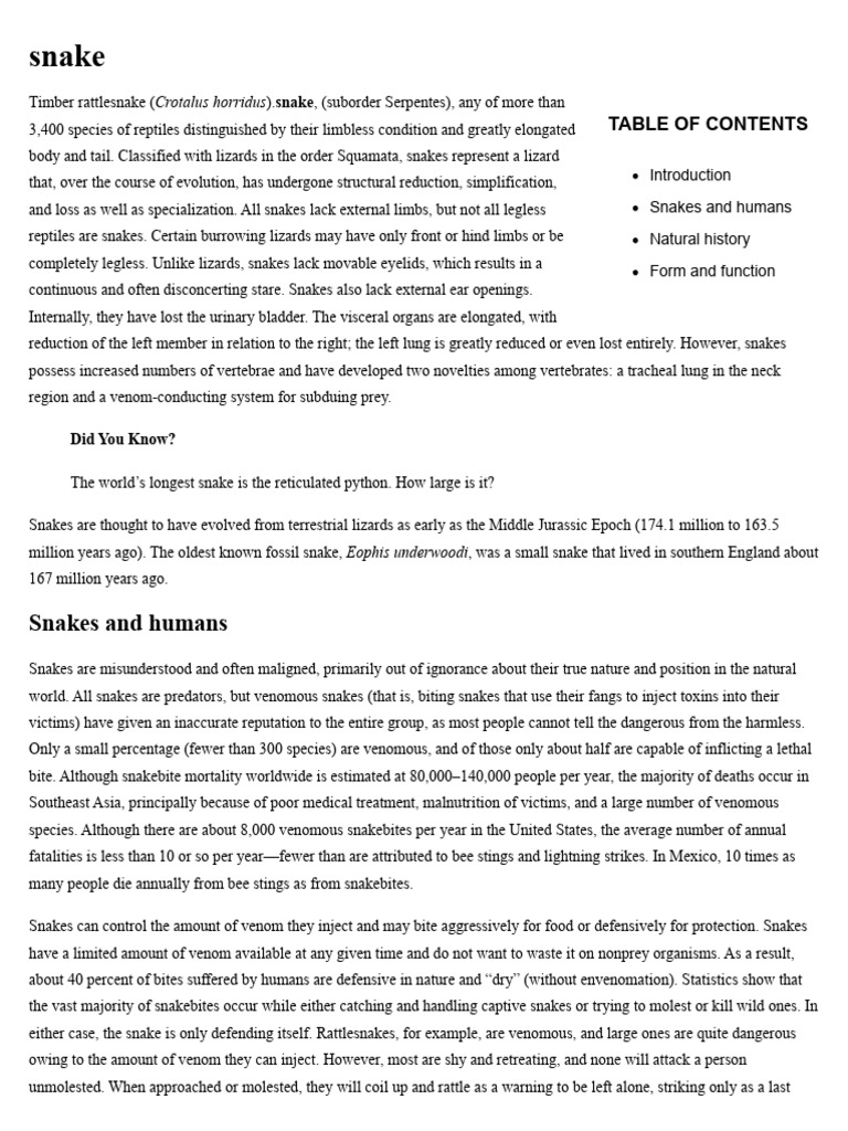 snake -- Britannica Online Encyclopedia | PDF | Snake | Vertebra