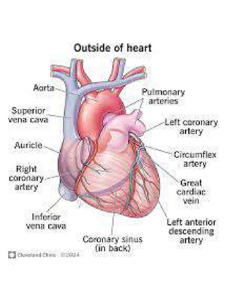 heart module | PDF