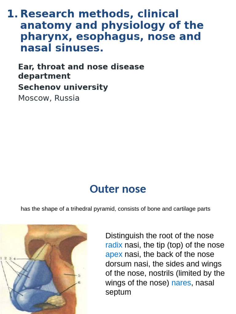 Anatomy of Nose, Paranasal Sinuses and Pharynx | PDF | Human Nose ...