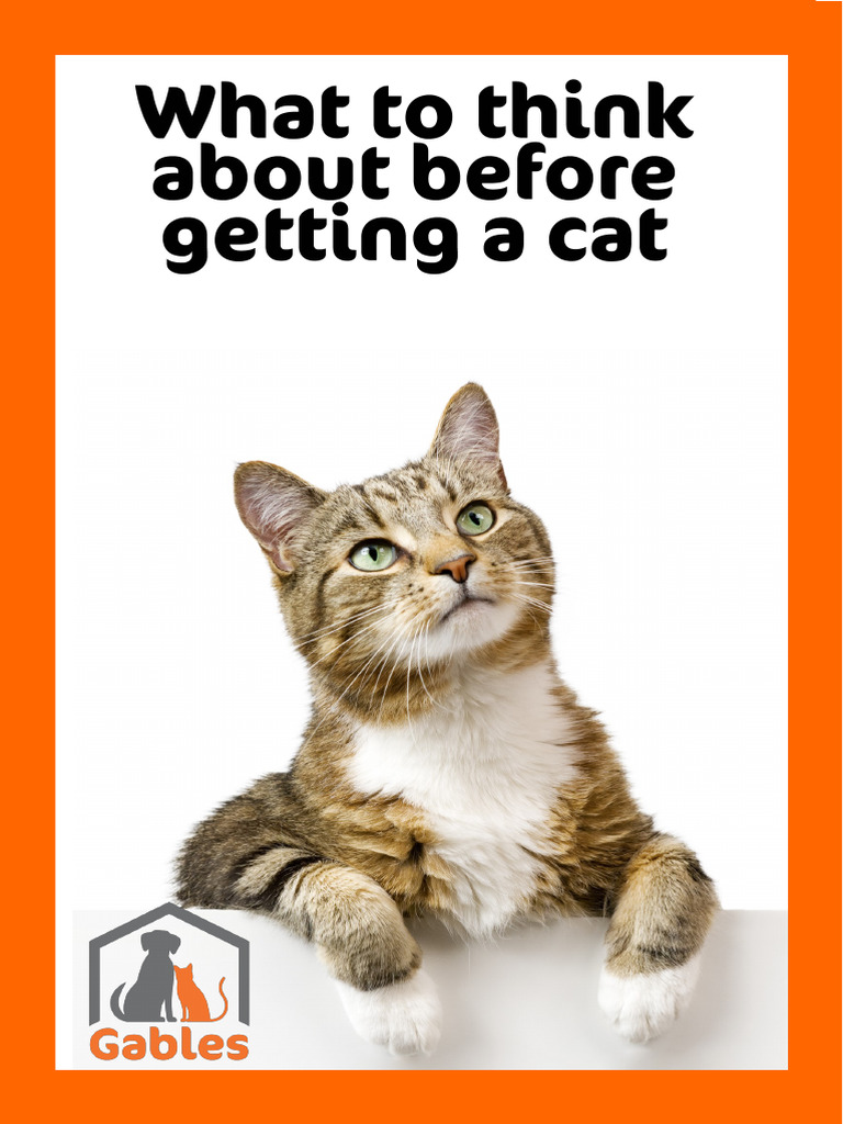 What To Think About Before Getting A Cat PDF 1 | PDF | Cats | Allergy