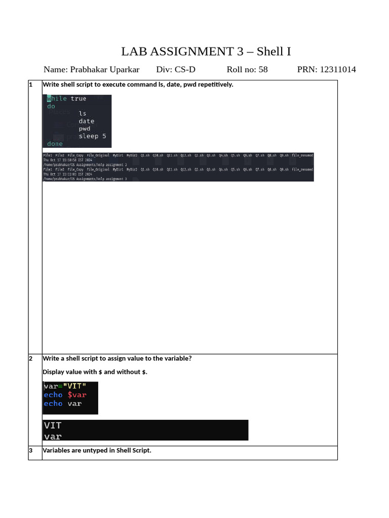 Shell Scripting Lab Assignment 3 | PDF