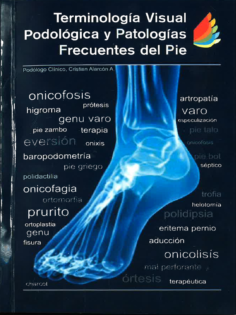 Manual. Terminología Visual Podológica y Patologías Frecuentes Del Pie ...