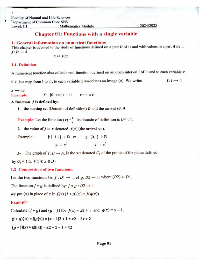 Mathematics Course Chapter One Functions With A Single Variable | PDF