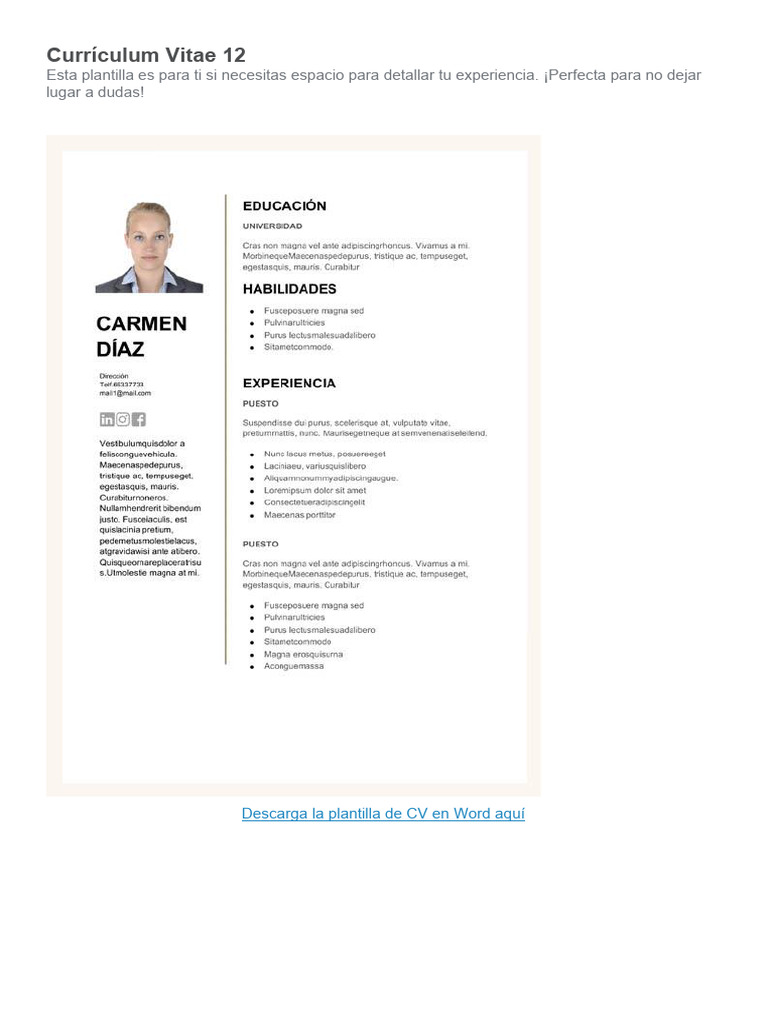 MODELOS DE CV GRATIS DESCARGAR intelligence overview