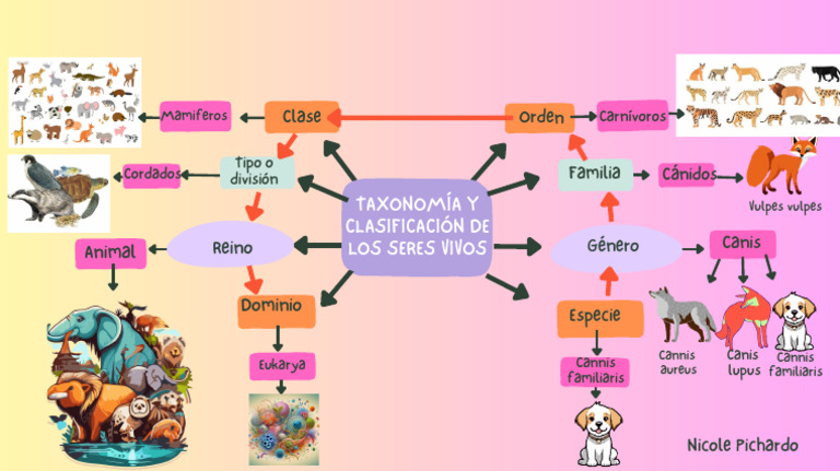 Taxonomía Y Clasificación De Los Seres Vivos 1 Pdf