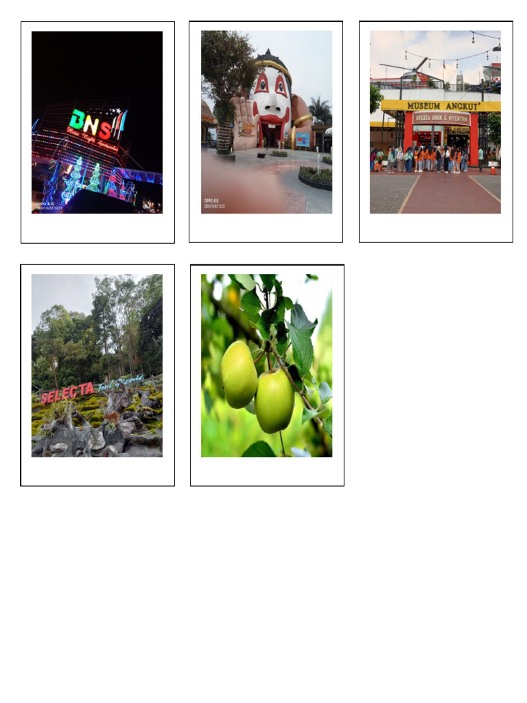 Project Polaroid 1 | PDF