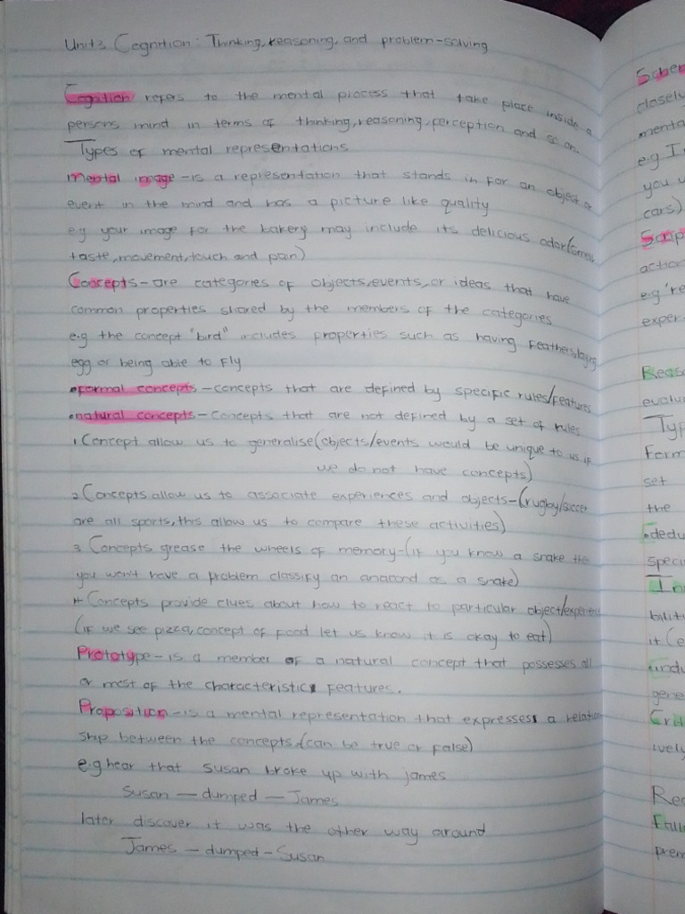 Chapter 3 Cognition Pdf