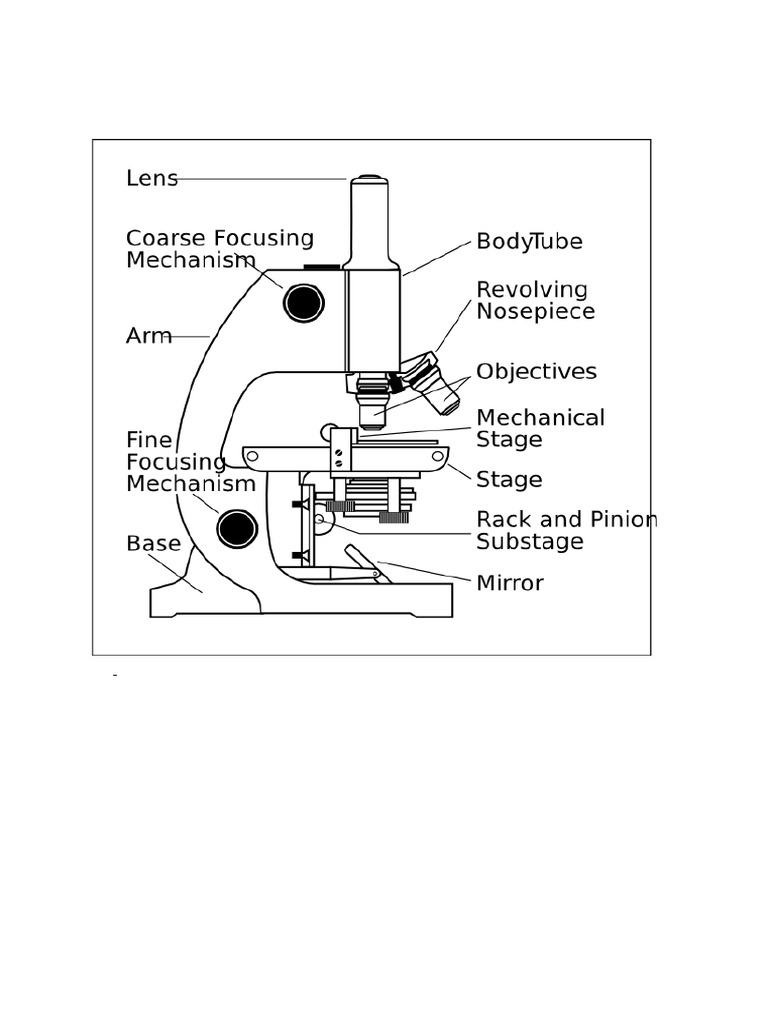 Components of A Microscope | PDF
