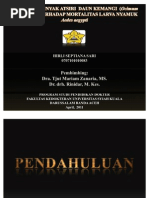 Download Presentasi Hirli Septiana Sari by Hirli Septiana Sari SN78726403 doc pdf