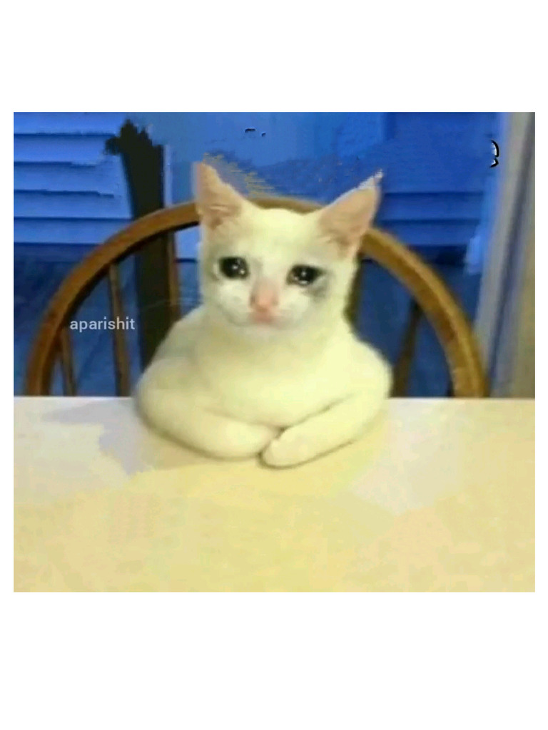 Emotion Cat | PDF