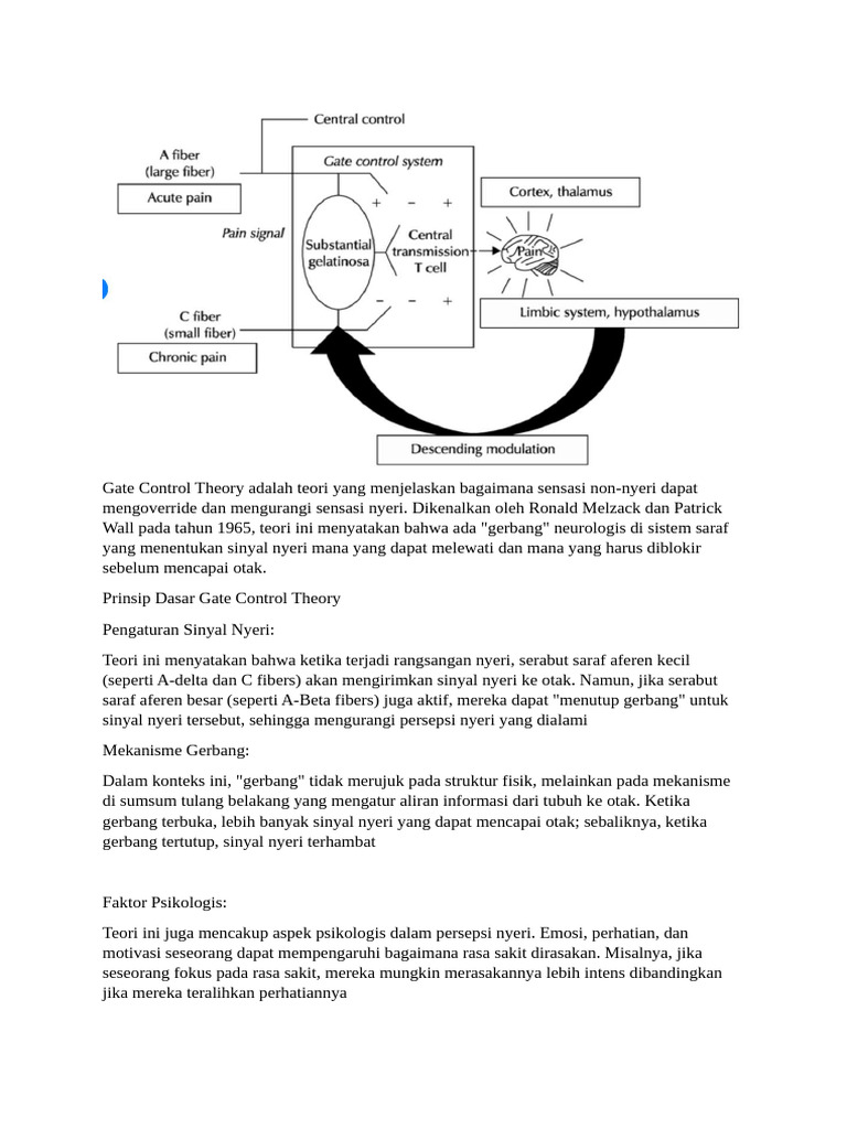 Teori Kontrol Gerbang Nyeri | PDF
