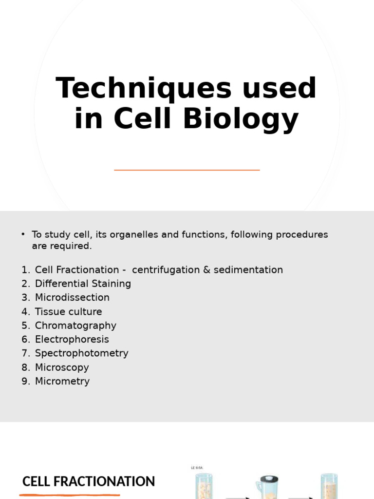 Key Techniques in Cell Biology | PDF | Chromatography | Staining