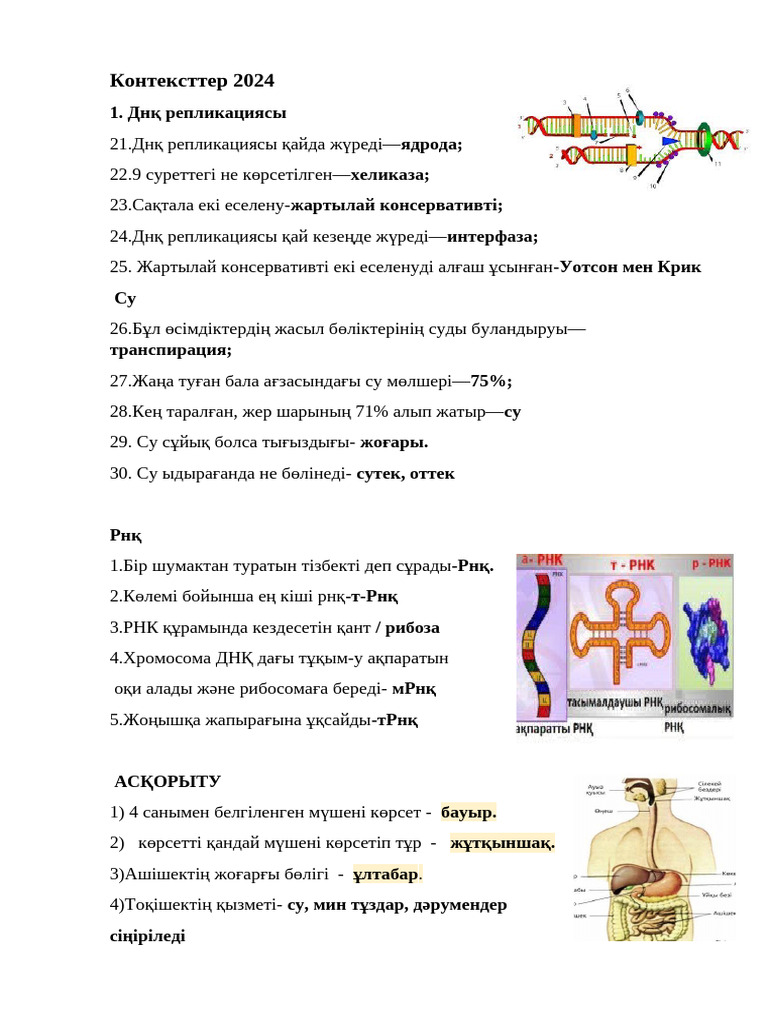 Порно әйелдер өздерін жалайды