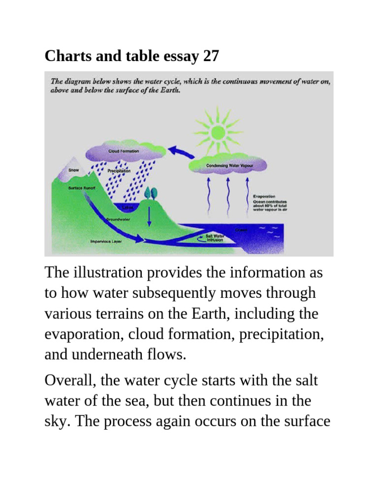 Understanding the Water Cycle Process | PDF | Water | Precipitation