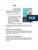 Salivary Glands