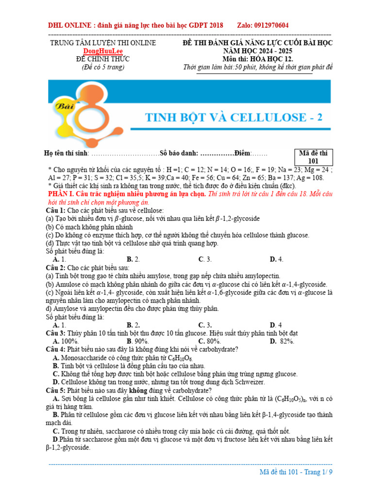 BGD 2025 - Tinh B T & Cellulose | PDF