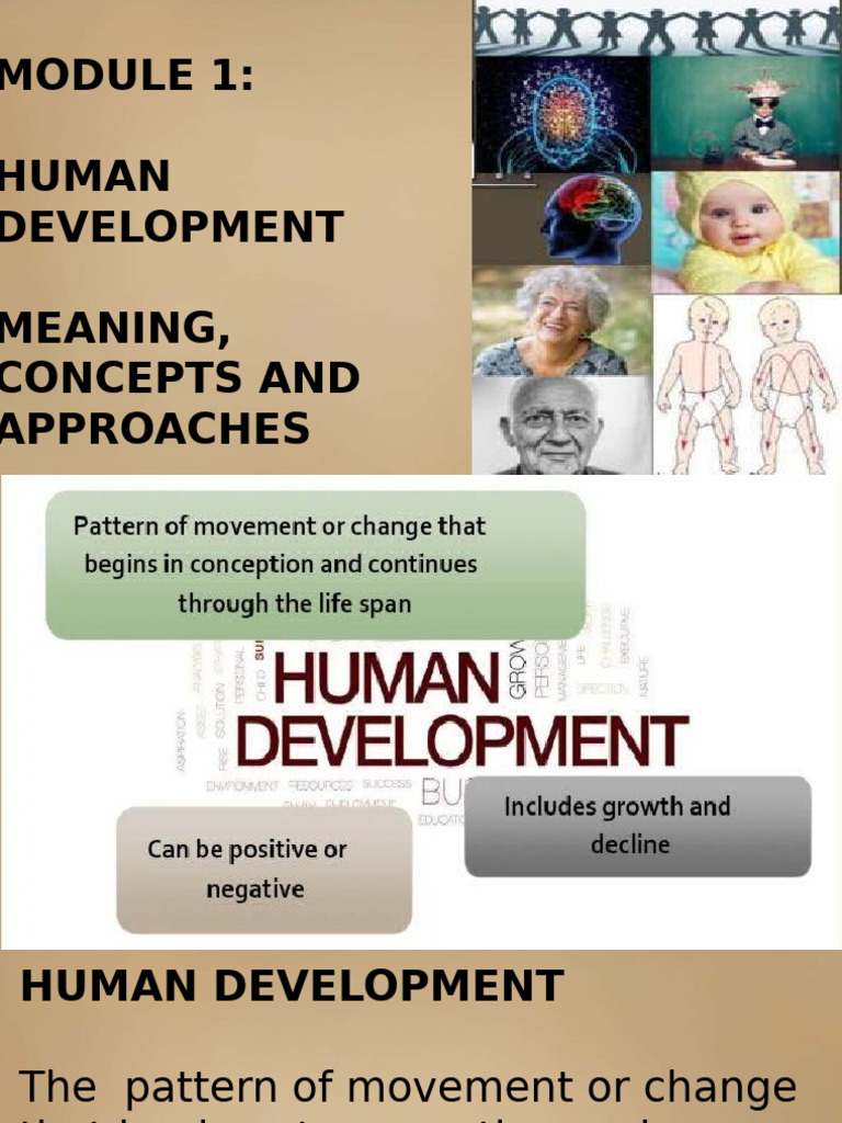 Human Development: Concepts & Stages | PDF | Learning | Child Development
