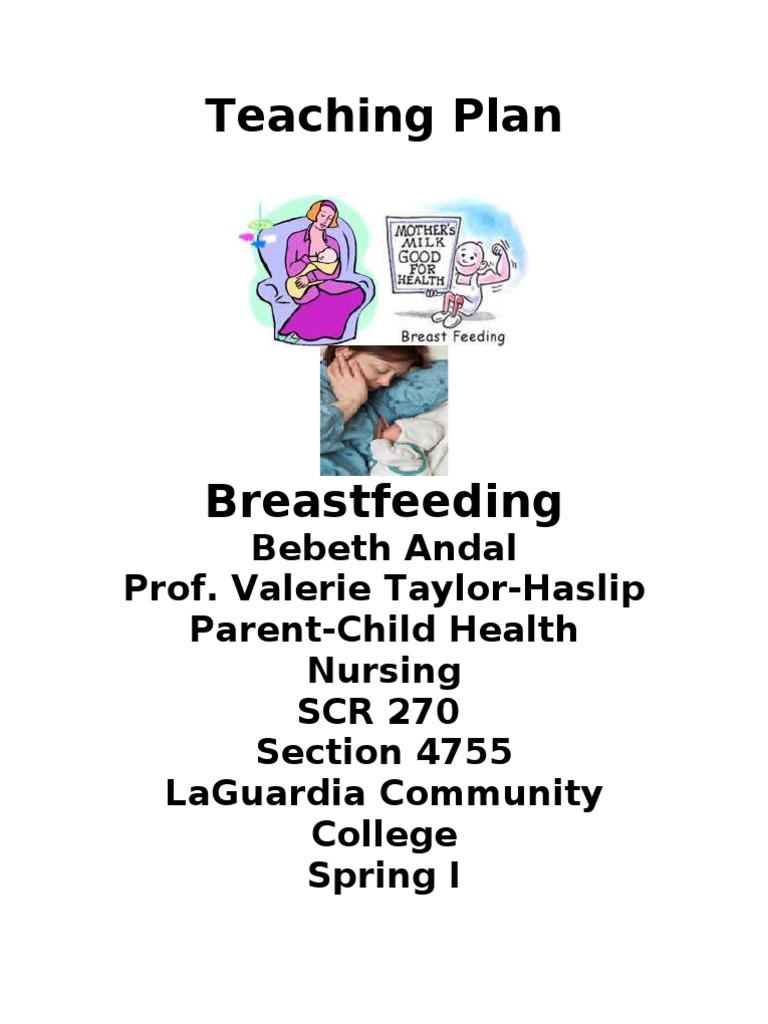 Teaching Plan Mnsg Breast Feeding Breastfeeding Infants